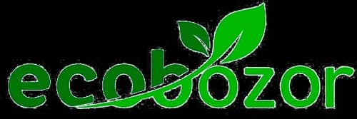Ecobozor